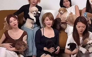 赵露思被曝解约复出失败处境尴尬无戏可拍只能倒退做网红